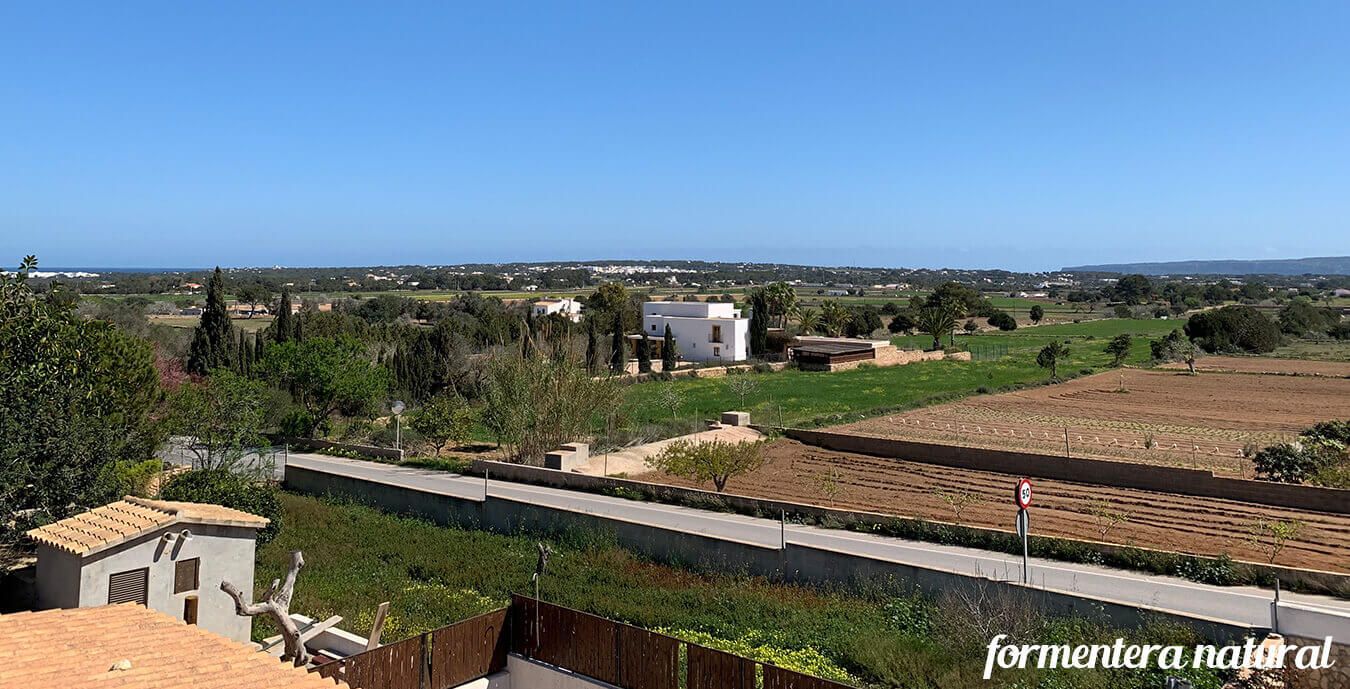 alquiler-villa-formentera23 Alquiler casa grande Formentera