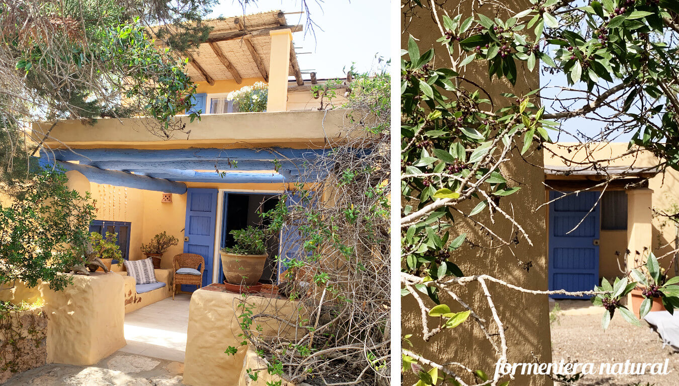 Wing House with pool Formentera Wing House with pool Formentera