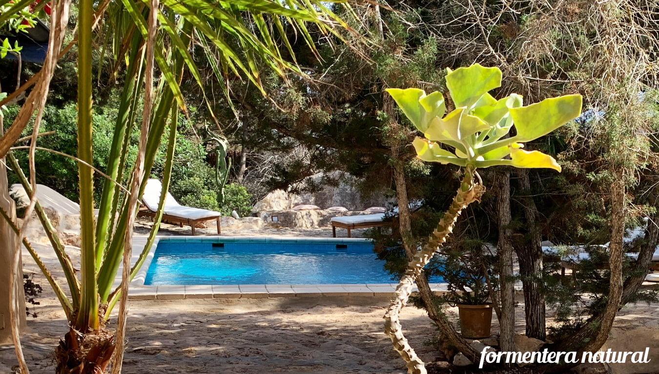 Casa Wing con piscina Formentera