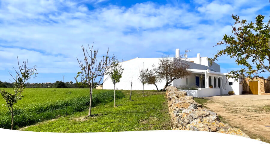Alquilar Finca rural en Formentera Alquilar Finca rural en Formentera