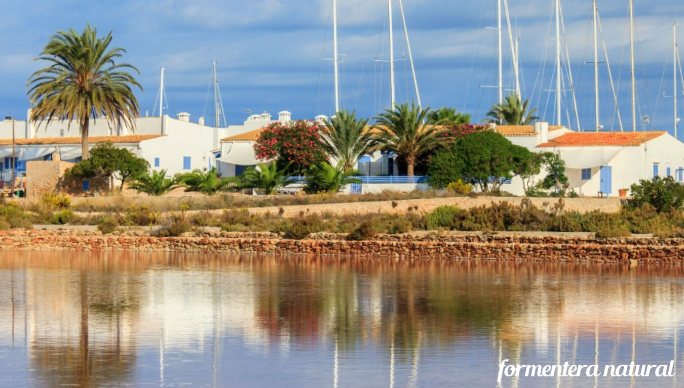 La Savina nuevas - 3