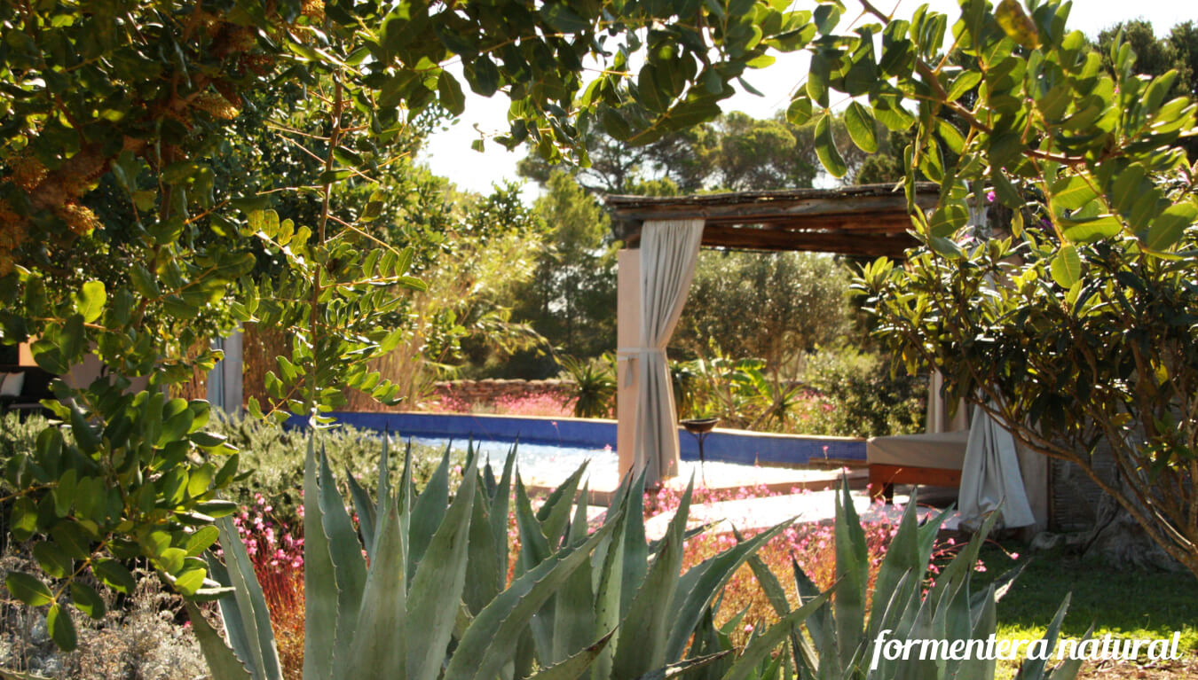Villa Costa 14 Formentera villas en alquiler con piscina