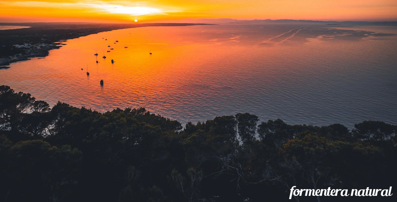 Formentera-Natural-Travel-Agency Formentera-Natural-Travel-Agency