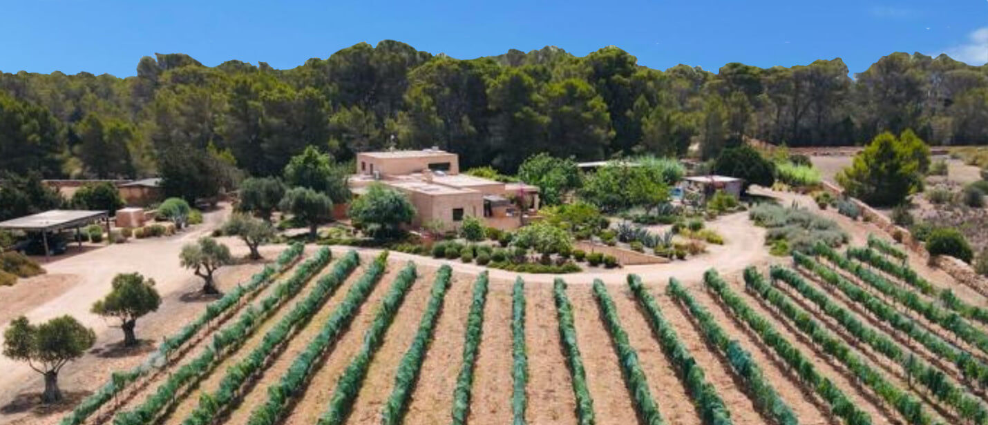 Ville in affitto a Formentera con piscina
