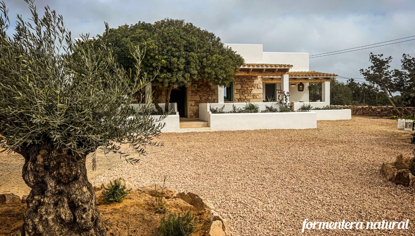 Casa mediterranea con piscina en Formentera Casa mediterranea con piscina en Formentera