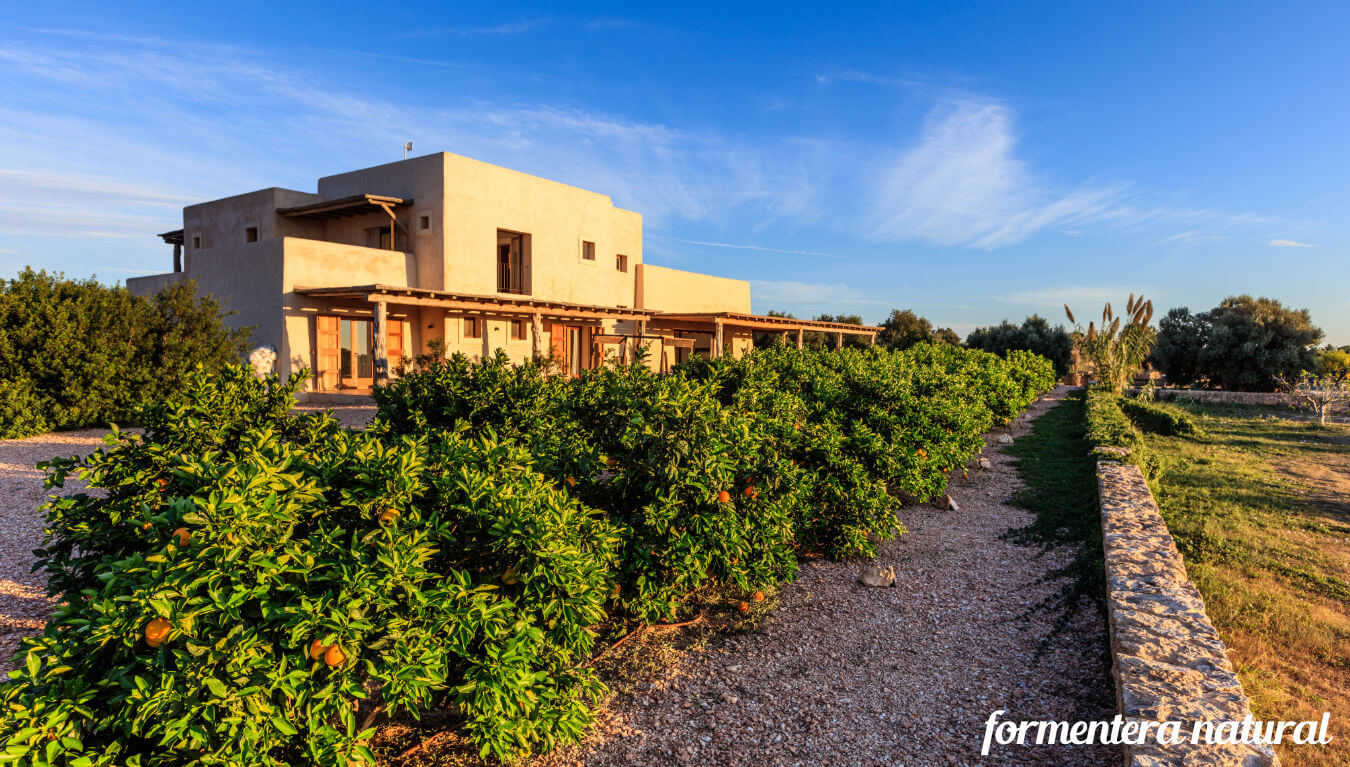Villa Can Relax Formentera