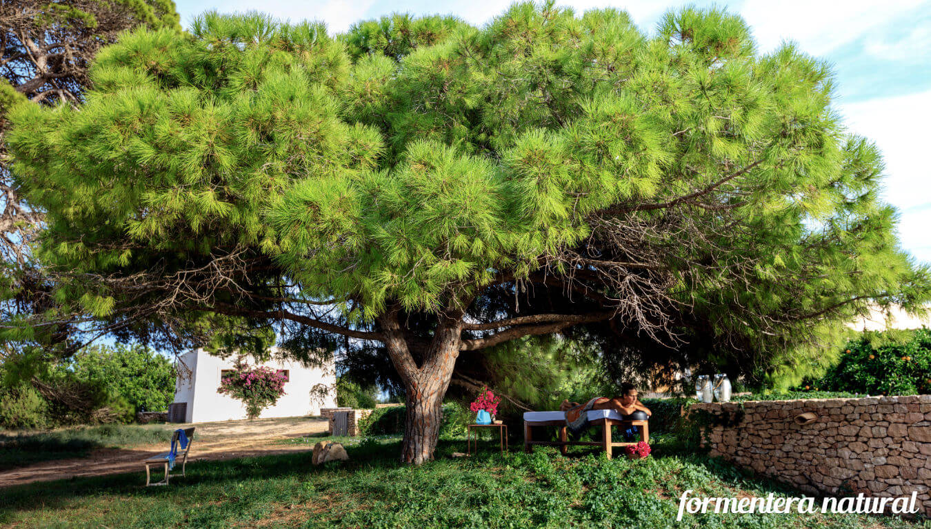 Villa Can Relax Formentera