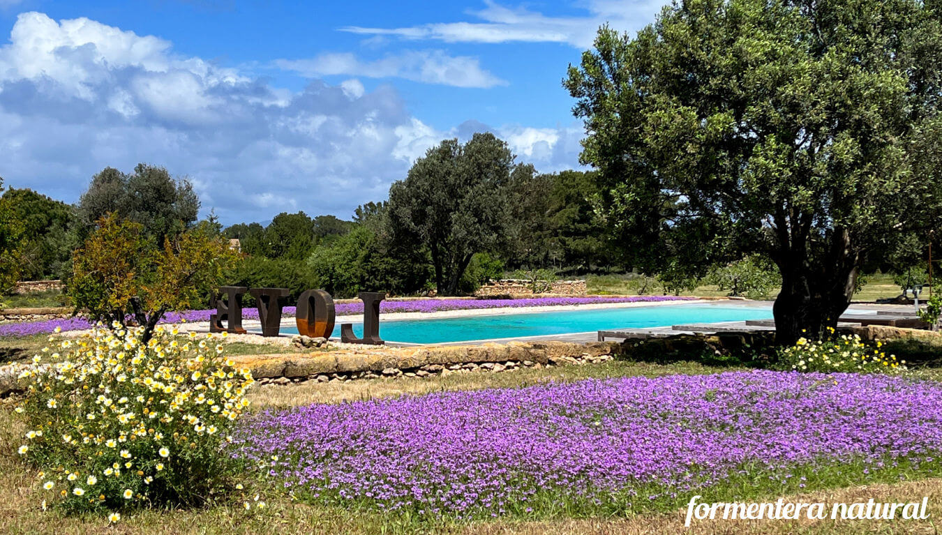 Villa Can Relax Formentera