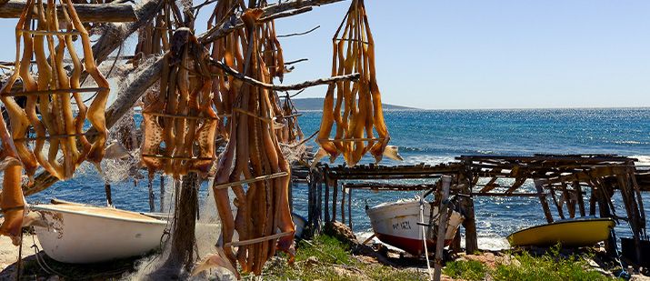 mapa-formentera-torrent-de-s-alga Map of Formentera island