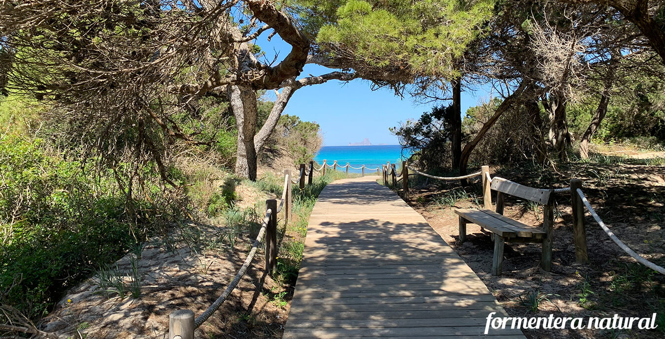 Como-ir-desde-Ibiza-a-Formentera