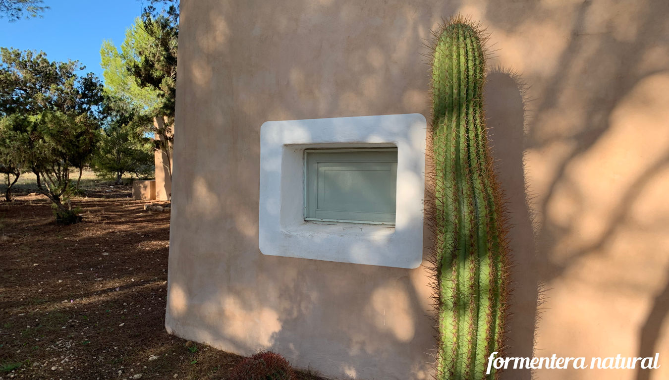 Rent a house Formentera Rent a house Formentera