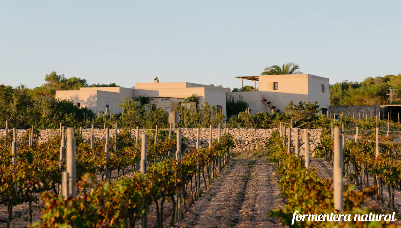 Villas con encanto en Formentera