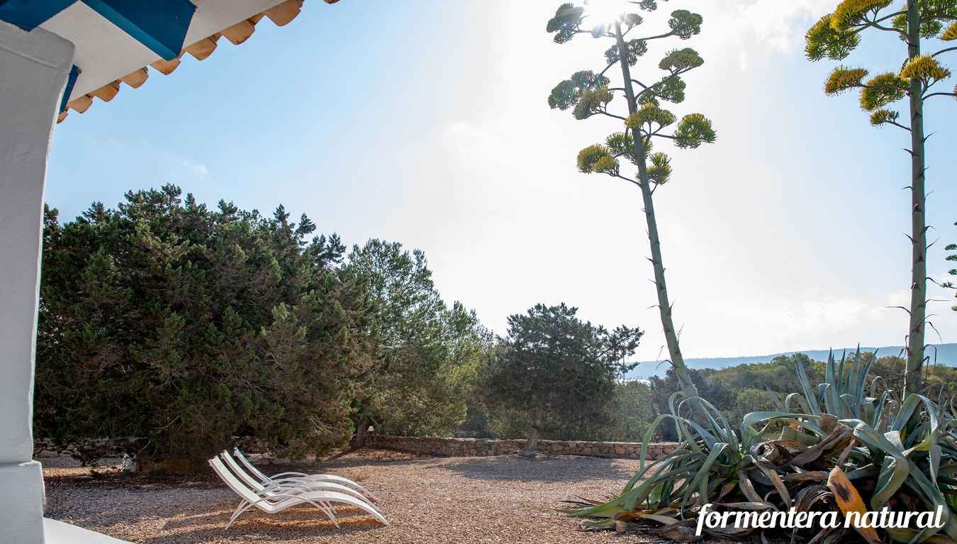 Casa rural formentera Casa rural formentera