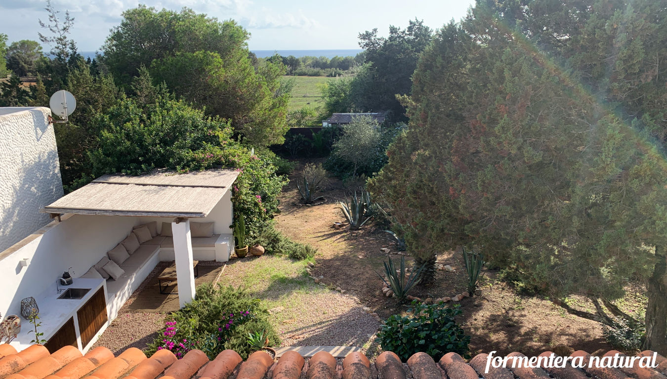Cottage with pool Migjorn beach Formentera